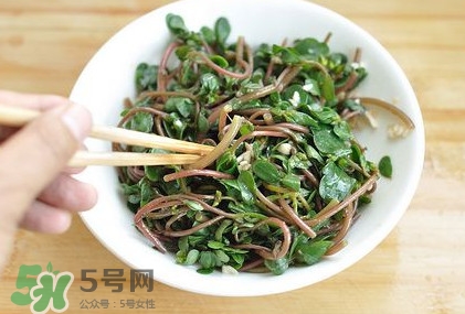 螞蚱菜怎么吃？螞蚱菜怎么做好吃