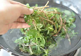 螞蚱菜能生吃嗎？螞蚱菜可以生吃嗎