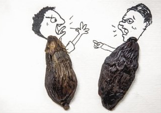 口味王檳榔是什么東西？口味王檳榔怎么吃