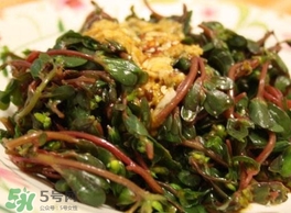 螞蚱菜怎么炒好吃？螞蚱菜做法有哪幾種