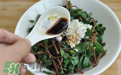 螞蚱菜對(duì)人體有哪些好處？螞蚱菜不能和什么一起吃