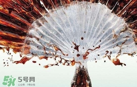 運(yùn)動(dòng)后可以喝可樂嗎？運(yùn)動(dòng)后喝可樂會(huì)胖嗎？