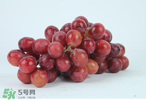 紅提多少錢(qián)一斤？紅提子多少錢(qián)一斤？
