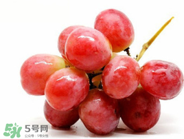 紅提可以放冰箱嗎？紅提放冷庫怎么保存？