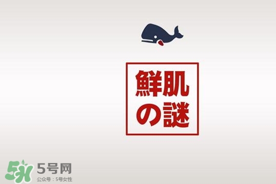 鮮肌之迷是日本的嗎？鮮肌之迷好用嗎