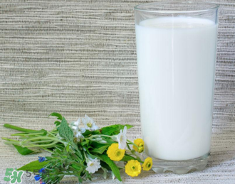 脫脂奶粉哪個(gè)牌子好？脫脂奶粉什么品牌的好？