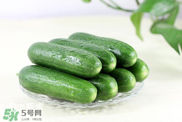 水果黃瓜常溫能放多久？水果黃瓜怎么保存？