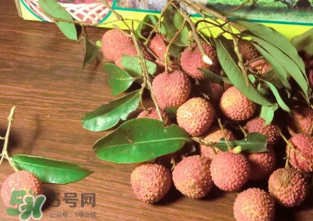 增城掛綠荔枝最貴多少錢(qián)？掛綠荔枝和普通荔枝有什么區(qū)別