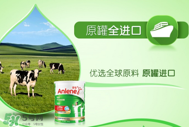 Anlene安怡奶粉怎么樣？Anlene安怡奶粉好不好？