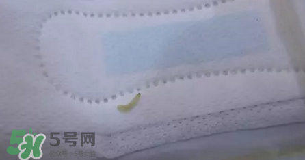 高潔絲衛(wèi)生巾有蟲(chóng)嗎？高潔絲衛(wèi)生巾有熒光劑