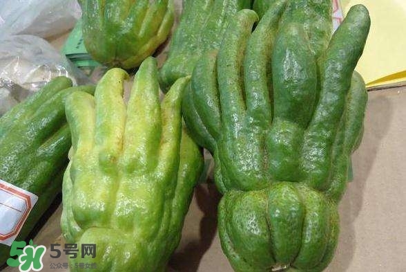 佛手與佛手瓜有什么區(qū)別？佛手與佛手鉗有什么區(qū)別
