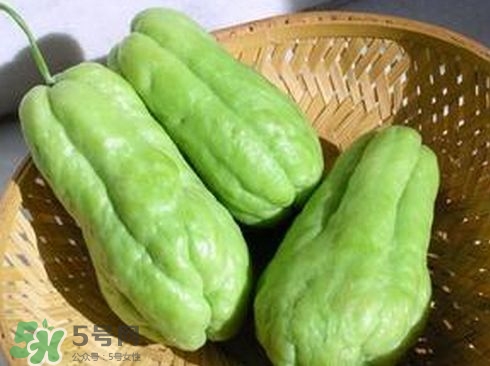 佛手瓜汁沾到手上怎樣洗？佛手瓜怎么做好吃？