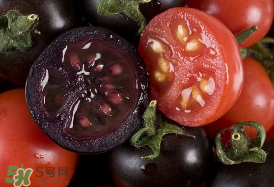 藍(lán)莓和番茄能一起吃嗎？藍(lán)莓和西紅柿能一起吃嗎？