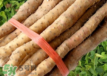 懷山藥可以生吃嗎？懷山藥怎么吃最好