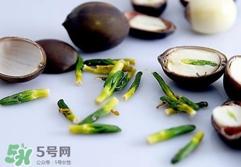 蓮子心能吃嗎？蓮子心是藥食同源嗎