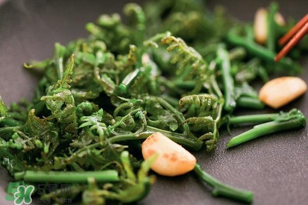 龍須菜怎么清洗？龍須菜怎么處理？