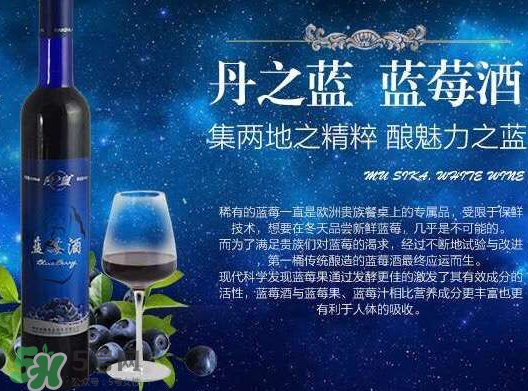 藍(lán)莓酒多少錢一瓶？藍(lán)莓王酒多少錢一瓶？