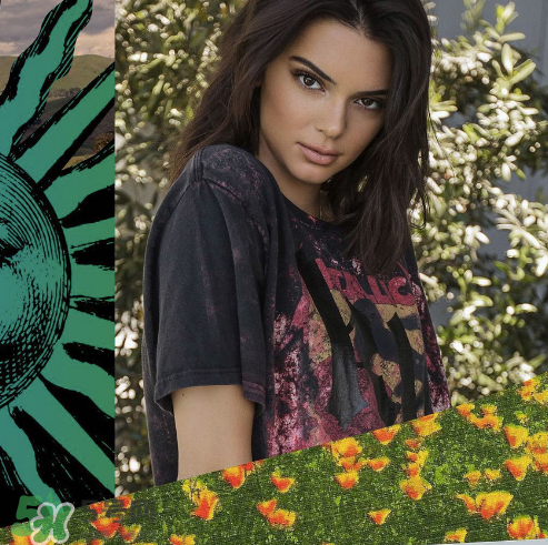 kendall kylie2017復(fù)古系列短袖t恤怎么樣_好看嗎_款式有哪些？