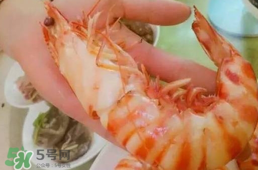 九節(jié)蝦是海蝦嗎？九節(jié)蝦是海蝦還是河蝦