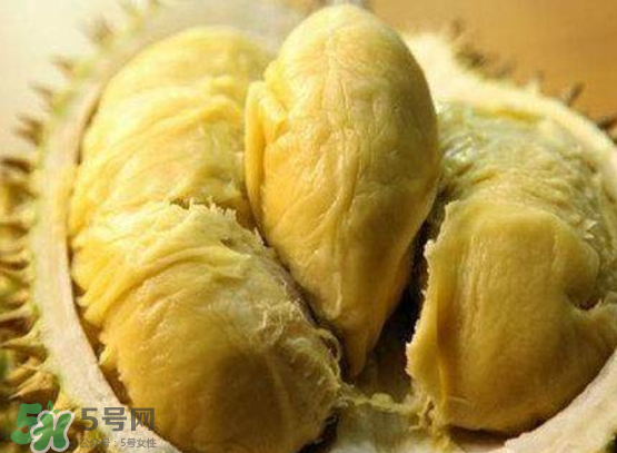 托曼尼榴蓮多少錢？托曼尼榴蓮是哪里的？
