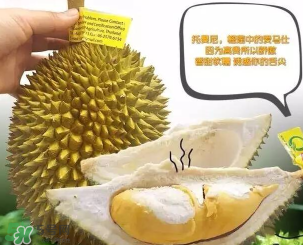 托曼尼榴蓮又叫什么？托曼尼榴蓮簡(jiǎn)介