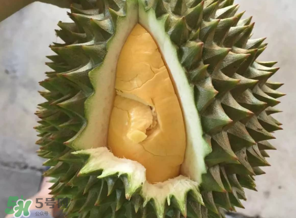 托曼尼榴蓮又叫什么？托曼尼榴蓮簡(jiǎn)介