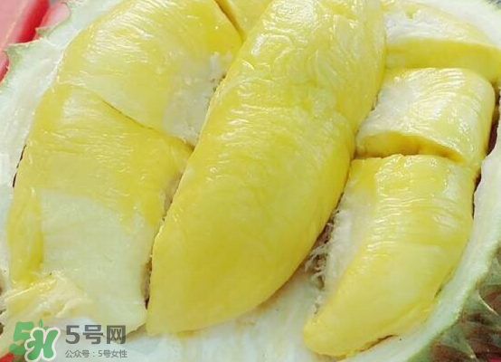 托曼尼榴蓮多大？托曼尼榴蓮好吃嗎？