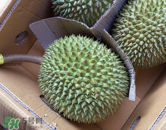 干堯榴蓮怎么樣算熟了？干堯榴蓮怎么挑選？