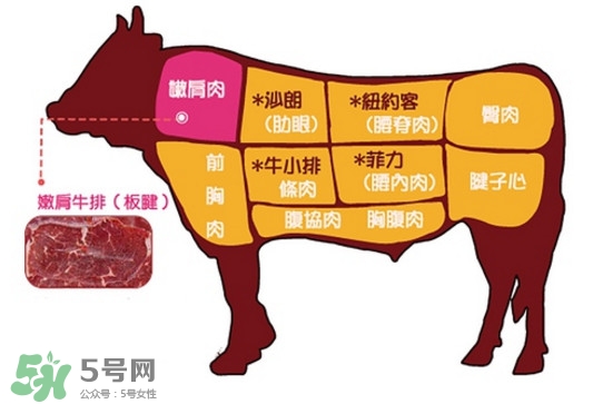牛排是牛的哪個(gè)部位？牛排是牛身上哪塊肉？
