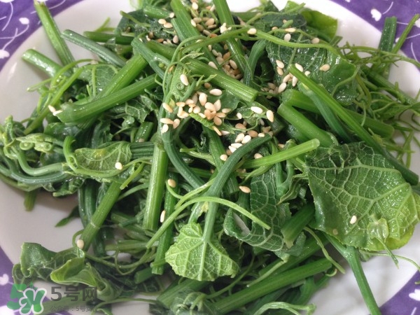 龍須菜怎么清洗？龍須菜怎么處理？