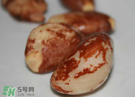 榴蓮核可以煲湯嗎？榴蓮核可以煲雞湯嗎？
