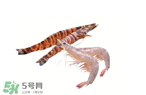 如何區(qū)分基圍蝦和竹節(jié)蝦？竹節(jié)蝦和基圍蝦的區(qū)別