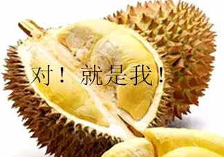多大的小孩可以開始吃榴蓮？寶寶多大可以吃榴蓮？