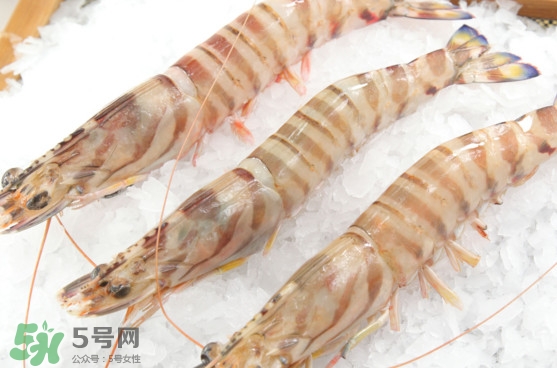 竹節(jié)蝦是海里的嗎？竹節(jié)蝦是海蝦還是河蝦