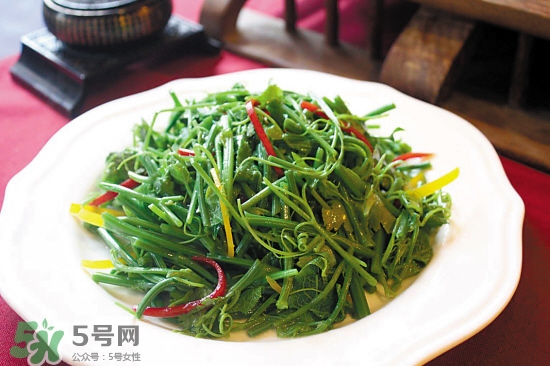 龍須菜是什么菜？龍須菜怎么吃？