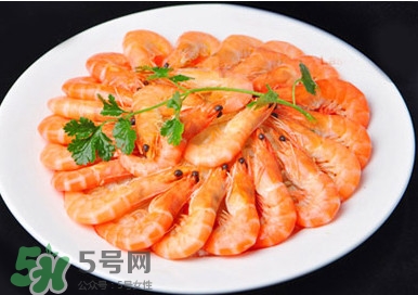 竹節(jié)蝦和基圍蝦哪個好？基圍蝦貴還是竹節(jié)蝦貴