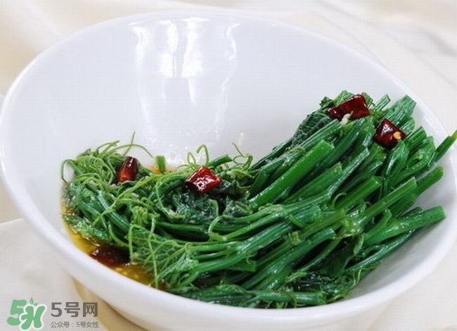 龍須菜是什么菜？龍須菜怎么吃？