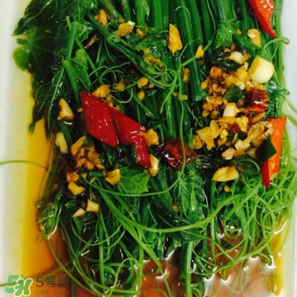 龍須菜怎么清洗？龍須菜怎么處理？