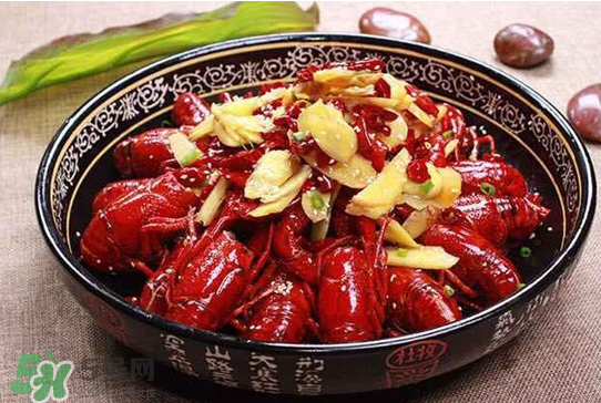 八月份還要小龍蝦？小龍蝦幾月份結束？