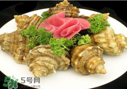 海螺可以冷凍嗎？海螺放冰箱能保存多久
