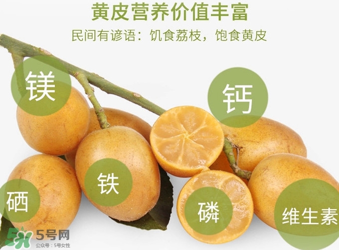 黃皮果是小金橘嗎？黃皮果和小金橘的區(qū)別