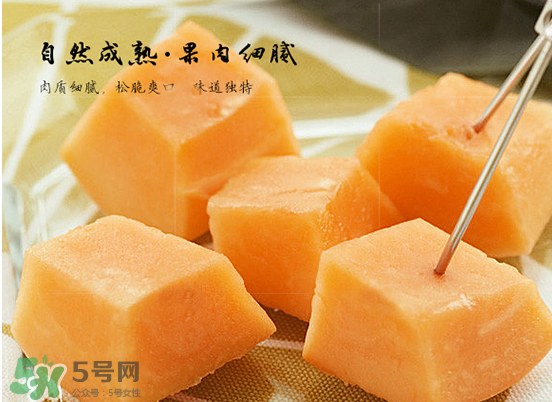 西州蜜瓜什么季節(jié)熟？西州蜜瓜幾月份成熟？