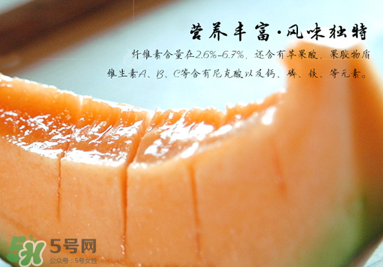 西州蜜瓜什么季節(jié)熟？西州蜜瓜幾月份成熟？
