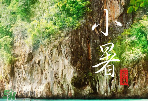 小暑是入伏嗎？小暑是不是入伏？