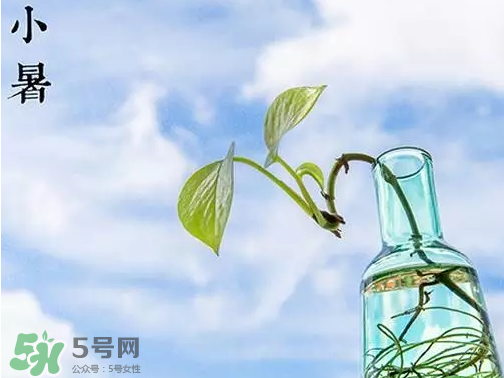 小暑是頭伏嗎？小暑是初伏嗎？