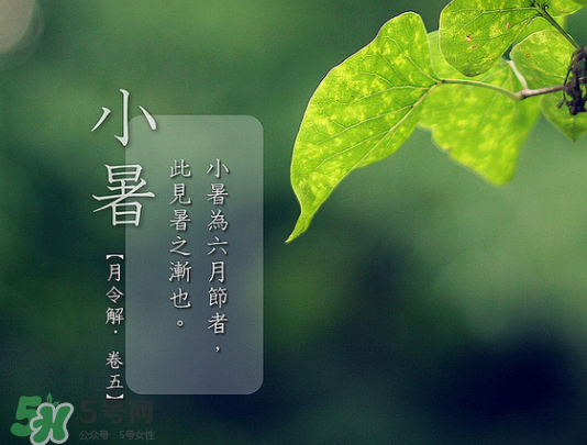 2017年小暑會(huì)下雨嗎？小暑這一天下雨好嗎？