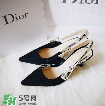 dior貓跟鞋多少錢？dior貓跟鞋價格