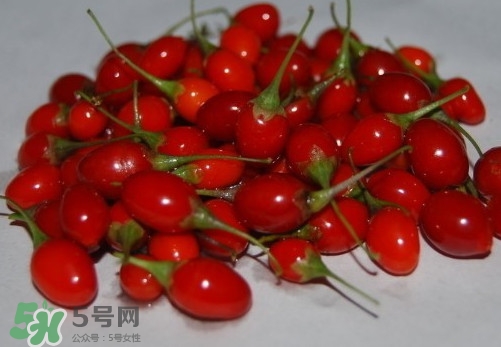 枸杞鮮果怎么吃？吃枸杞鮮果有什么好處