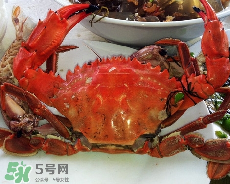 石夾紅螃蟹什么時候有？石夾紅螃蟹什么時候最肥