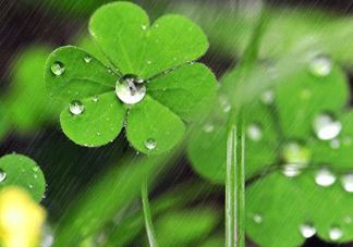 2017年小暑會(huì)下雨嗎？小暑這一天下雨好嗎？